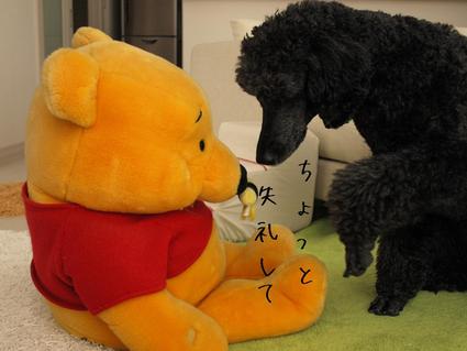 コツコツと…
