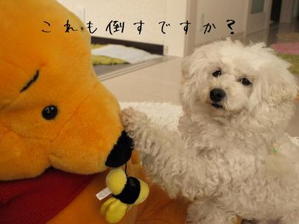 コツコツと…