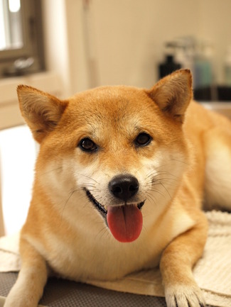 雨の日は…