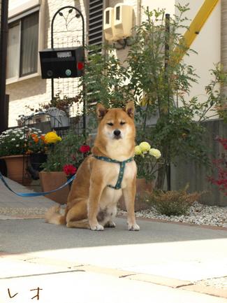 お知らせ♪