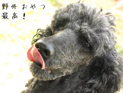 青空教室♪