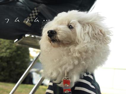 青空教室♪