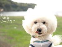 旅行いろいろ① 2012/05/05 08:13:22