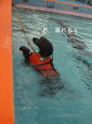 旅行③水泳合宿編