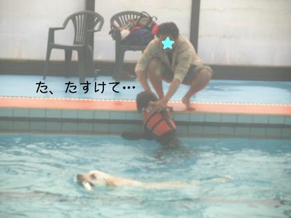旅行③水泳合宿編