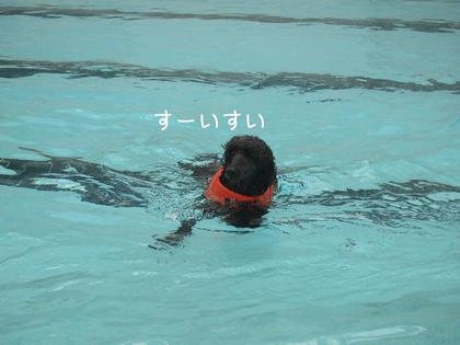 旅行③水泳合宿編