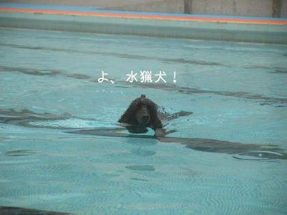 旅行③水泳合宿編
