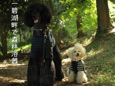 伊豆旅行①