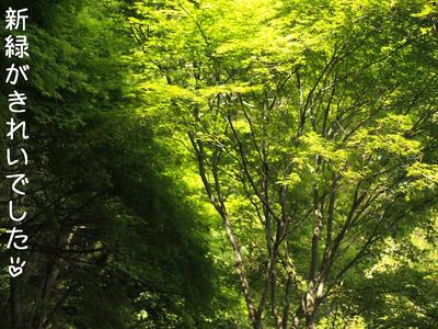 伊豆旅行①