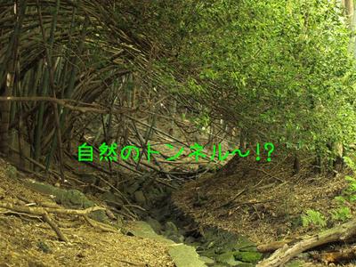 伊豆旅行①