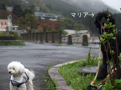 旅行いろいろ⑤