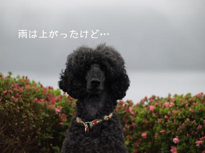 旅行いろいろ⑤