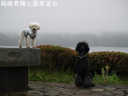 旅行いろいろ⑤