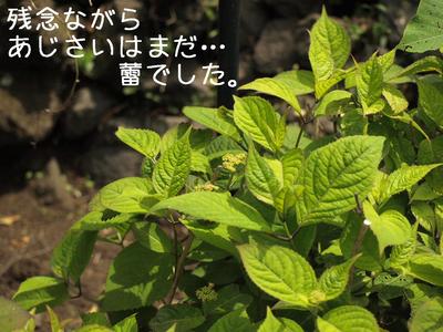 伊豆旅行①