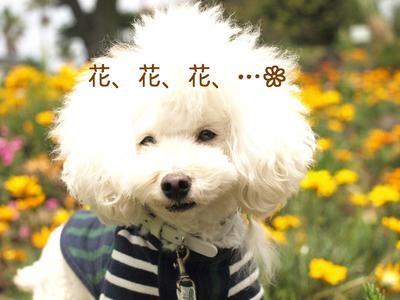 伊豆旅行①