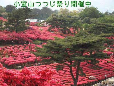 伊豆旅行②