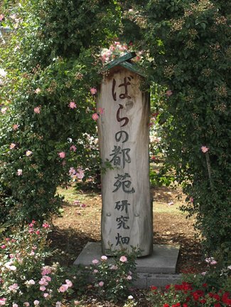 愛、ですねぇ。