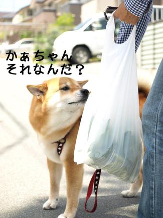 表情豊か♪