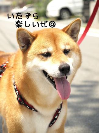 表情豊か♪