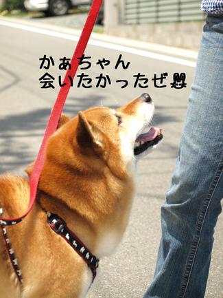 表情豊か♪