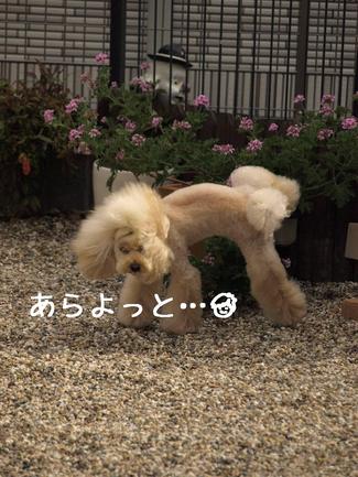 表情豊か♪