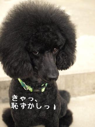 表情豊か♪