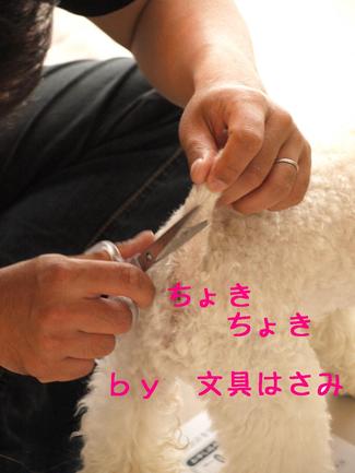DIY♪