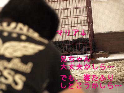 DIY♪