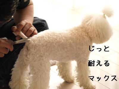DIY♪