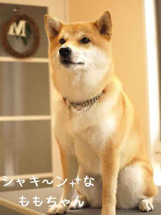 新カレンダー♪