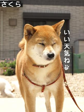 新カレンダー♪