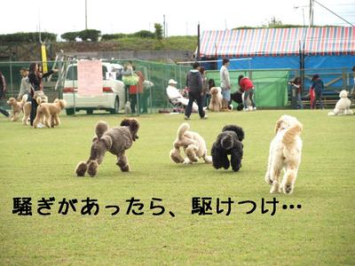 オフ会
