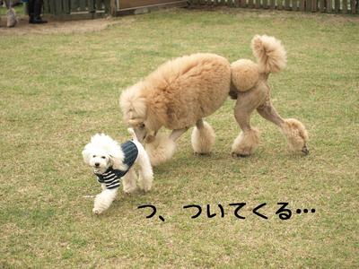 オフ会