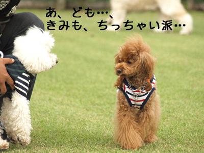 オフ会