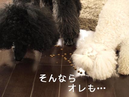 第2回戦…