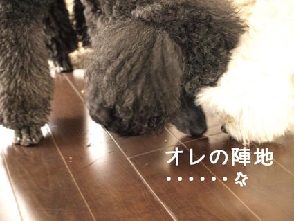 第2回戦…