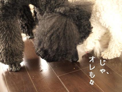 第2回戦…