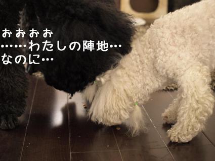 第2回戦…