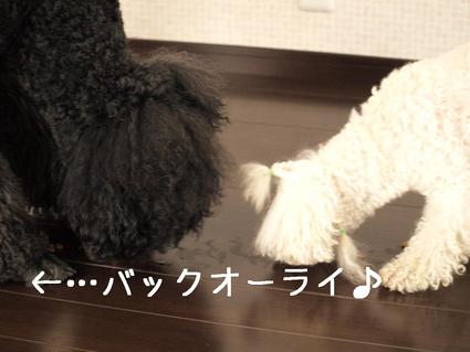 第1回戦…