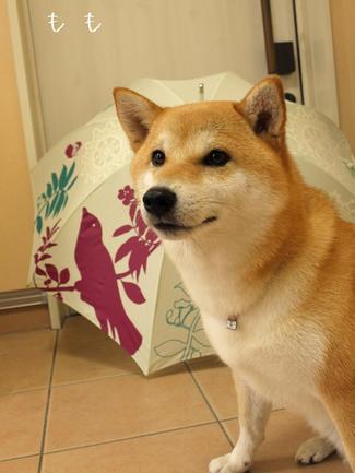すっかり