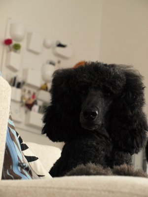小ぶり!?な…