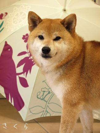 7月のカレンダーが…