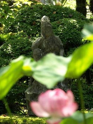 近場の観光