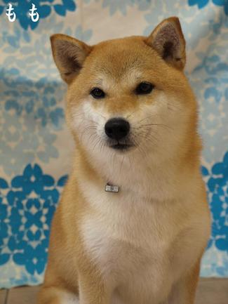 まだ…