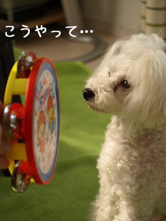 サプライズな…