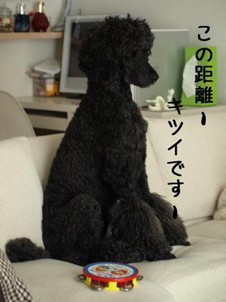サプライズな…