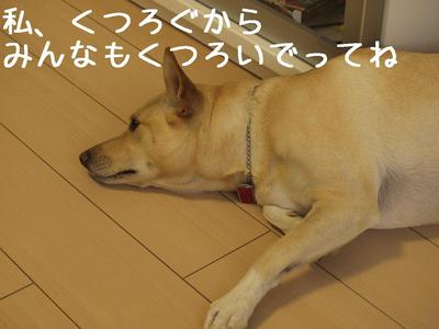 米!?