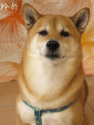 変わりました。