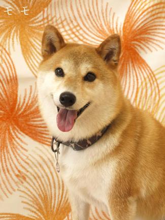 変わりました。