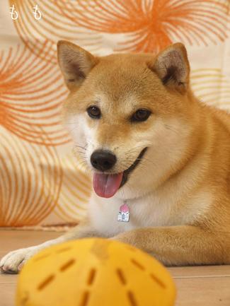 もう1つ…